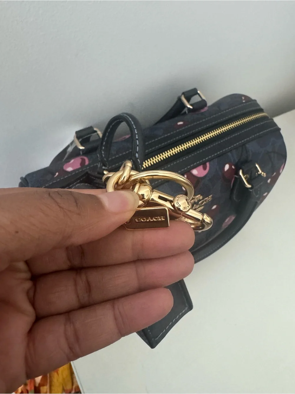 NWT Coach Rowan Satchel Cherry Signature Canvas | NWOT Snap Wallet & Charm